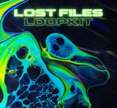 Plzzdelete Lost Files Loop Kit WAV